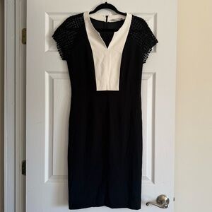 Gerard Darel Shift Dress Size 40 (US size 4)
